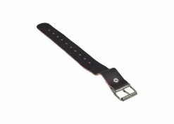 Buy ⌛ Sunlite Quick Release Wicker Basket Replacement Strap ⭐ -Cheap Mini Bike Store k92 1060 1